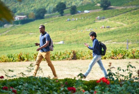 Team building Chasse au trésor dans le Beaujolais Mystère de la Vigne