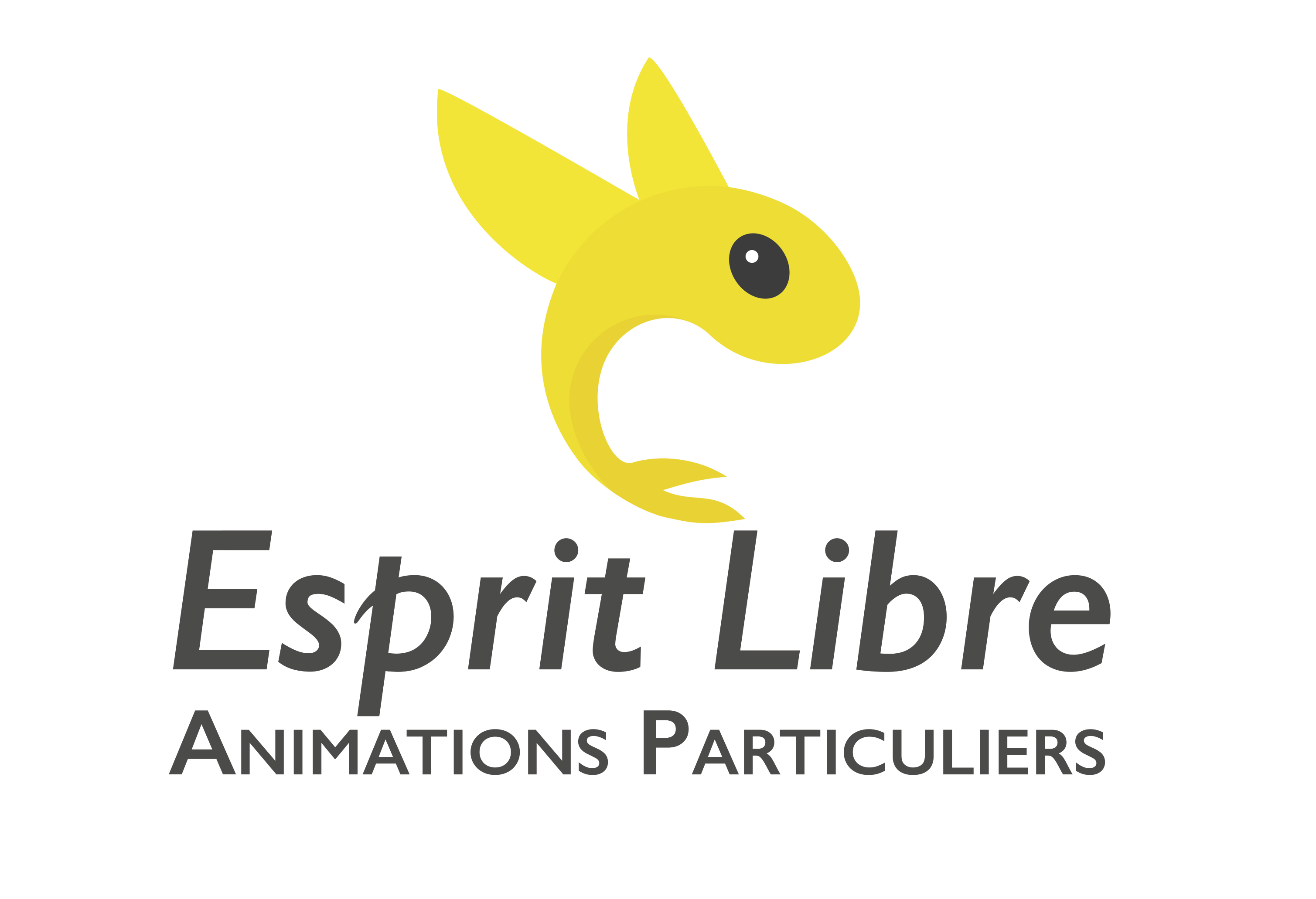 Esprit Libre Animations pour particuliers - stages - ateliers - location de salle