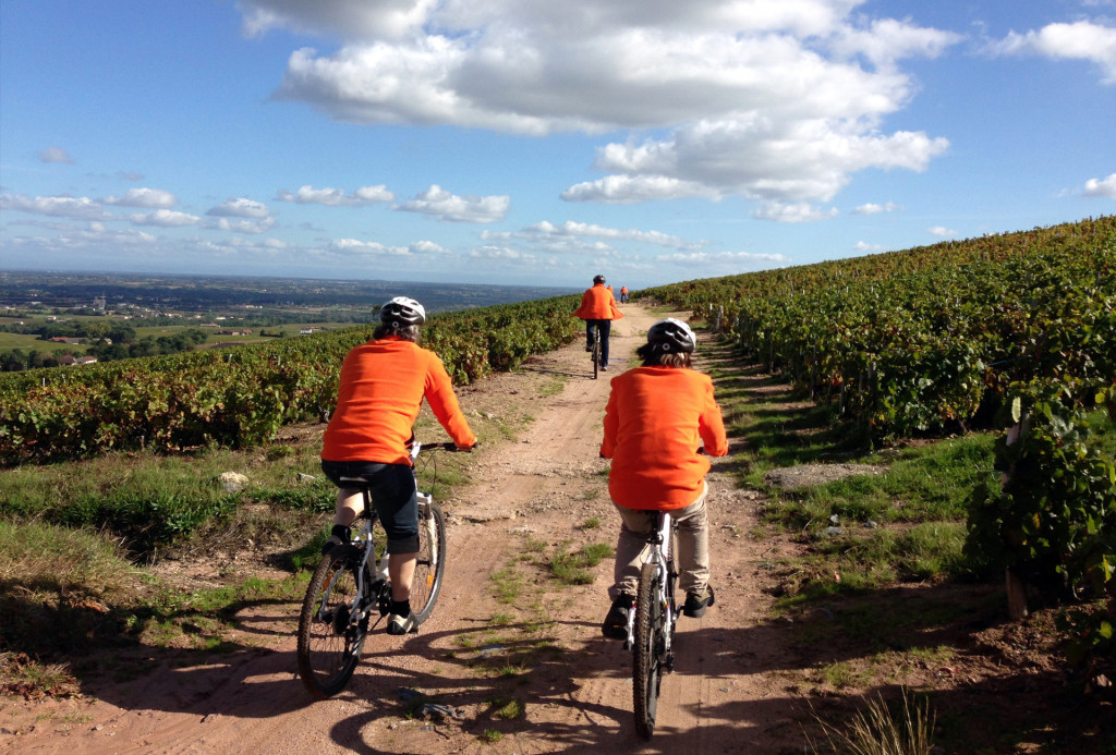 Evénement d’entreprise Team Building Nature : Chemin de vigne dans le Beaujolais