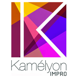Partenaire kamélyon-impro