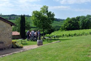 Olympiade Viticole, Votre séminaire dans le Beaujolais - Esprit Libre