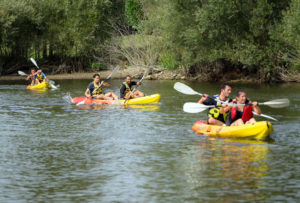 Raid Aventure, le séminaire nature à lyon - Esprit Libre