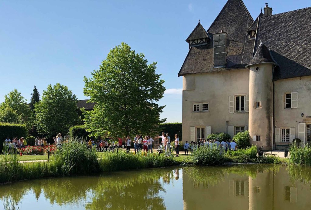 Olympiade Beaujolaise - Team building autour de la viticulture