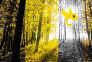 Univers Esprit Libre créateur d'évènements d'entreprise