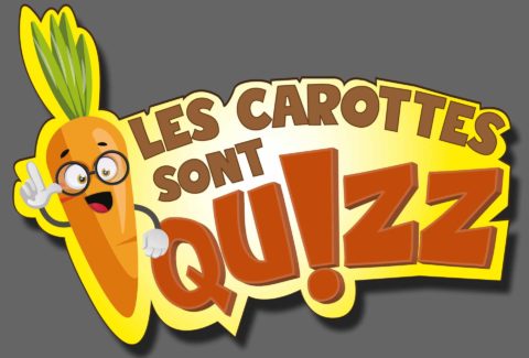 Une animation interactive en vidéo-conférence : jeu quizz