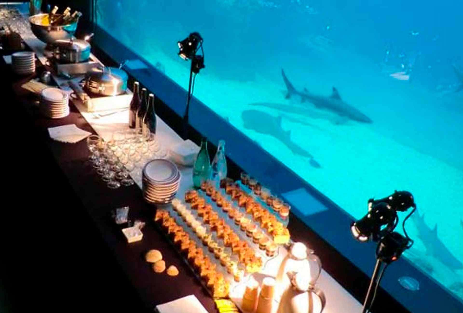 Aquarium de Lyon